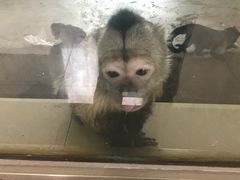 -哈尔滨北方森林动物园