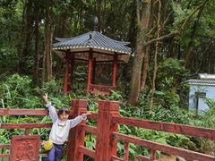 -天鹿湖森林公园