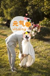 点击看大图 -太郎花子婚纱摄影艺术中心