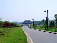 -合肥滨湖国家森林公园