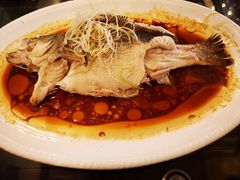 清蒸鲈鱼-玉林烤鸭店(垡头店)