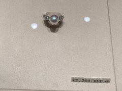 -御木本(银座2丁目本店)