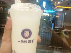 -一只酸奶牛(八一路店)
