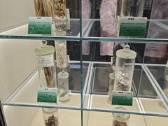-广东中医药博物馆