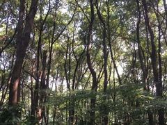 -杭州半山国家森林公园