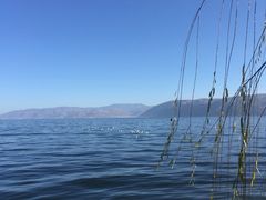 -大理无舍度假酒店