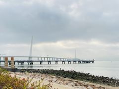 -深圳湾公园(南山区)