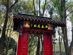 -富春茶社(国庆路店)