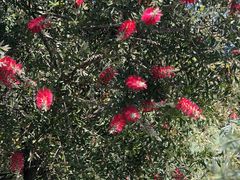 -苏州河梦清园环保主题公园