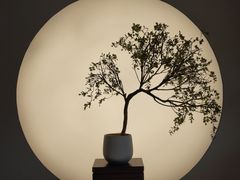 -甬上名灶·首店(环城西路店)