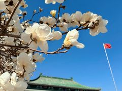 -国家图书馆·古籍馆