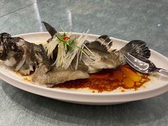 -千灯盛汇·头牌粤菜(致越优城店)