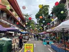 景点-告庄西双景