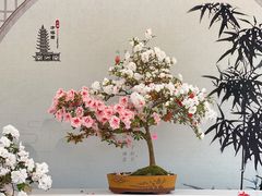 -上海方塔园