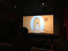 -新影联·华谊兄弟影院(望京店)