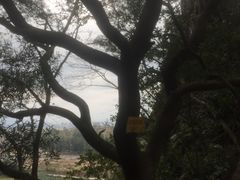 -崆峒岩风景区