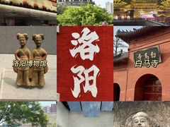-洛阳国际大酒店