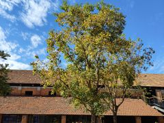 -祝甸砖窑文化馆