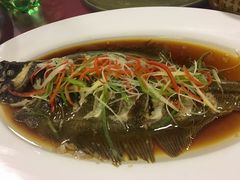 -小叶大馅饺子城