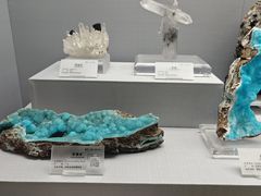 -湖南省地质博物馆