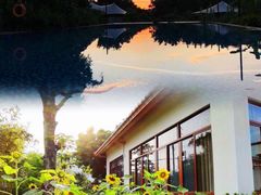 -天适樱花悠乐园