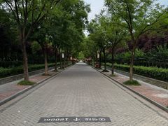 -洛阳市隋唐城遗址植物园