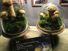 -原牛道·潮汕围炉火锅(讯美店)