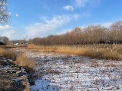 -大兴滨河森林公园