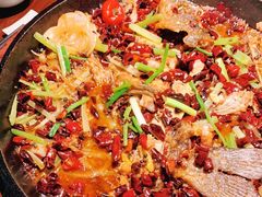 -老板恋上鱼(高新万达店)