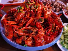 -杨氏青龙虾·羊蝎子(托乐嘉店)