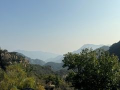 -大岭沟猕猴桃谷风景区