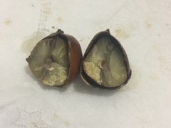 糖炒栗子-方林富炒货店(武林路店)