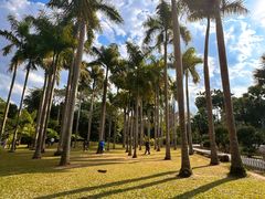 -中国科学院西双版纳热带植物园