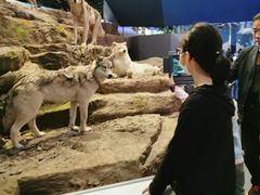 -武汉园博园(武汉自然博物馆)