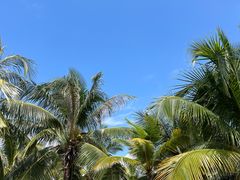 -三亚西岛海洋文化旅游区