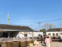 -苏州市吴中区光福窑上花果蜜饯厂