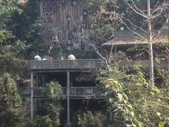 -西双版纳原始森林公园
