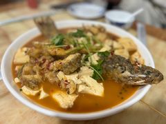 -煲来饱去冷水鱼