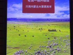 -浩爷羊蝎子火锅(望京店)