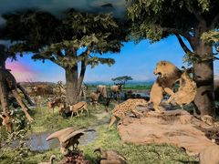 -国家自然博物馆