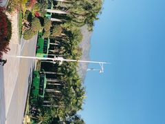 -深圳仙湖植物园