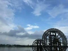 -金卉庄园