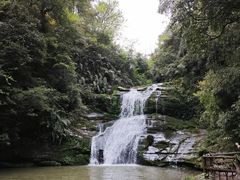 -碧峰峡风景区