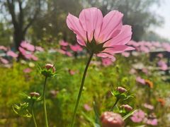 -野鸭湖国家湿地公园
