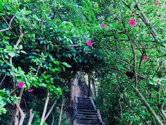 -抚仙湖禄充风景区