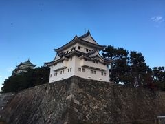 -名古屋城