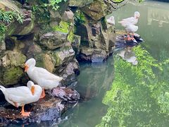 -兰亭风景区