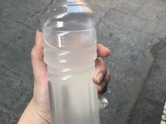 -洪馨椰子