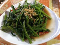 空心菜-Jungle Kitchen
