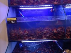 -虾铺子龙虾·私房菜(金源花苑店)